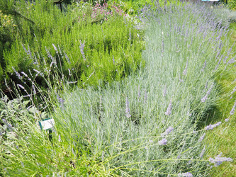 Similar image 22310434