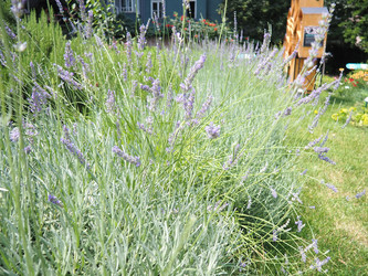 Similar image 22310632