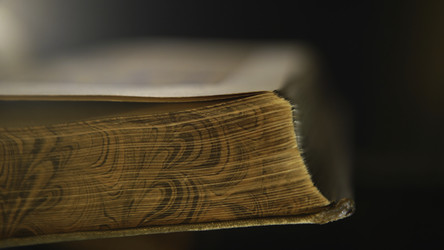 Similar image 22331278