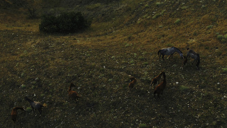 Similar image 22296523