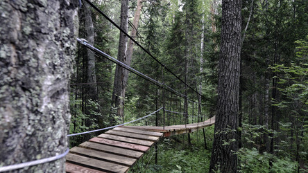 Similar image 22296568