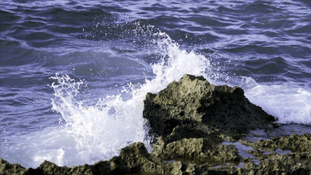 Similar image 22296795