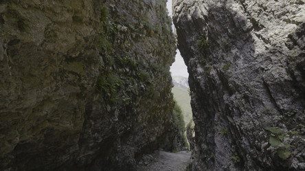 Similar image 22328648