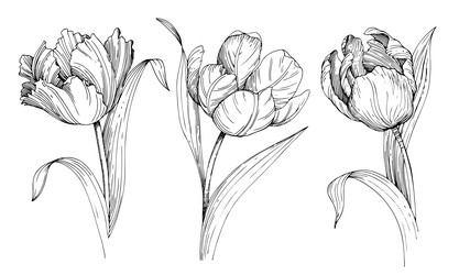 Similar image 22309442