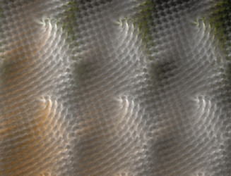 Similar image 22320354