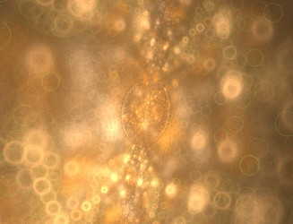 Similar image 22320357