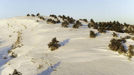 Similar image 22329071