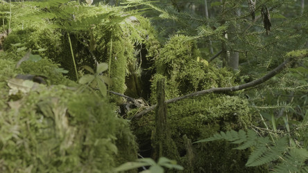 Similar image 22330973