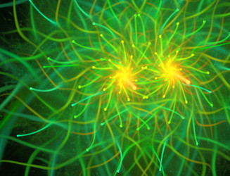 Similar image 22320367