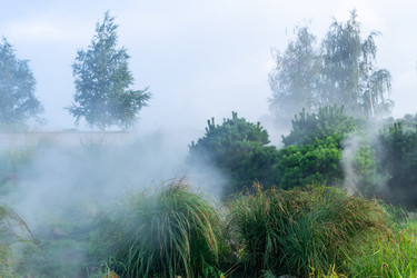 Similar image 22308542