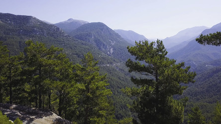 Similar image 22315988