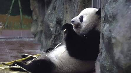 Similar image 22316242