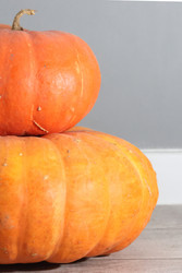 Similar image 22294779