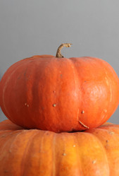 Similar image 22294780