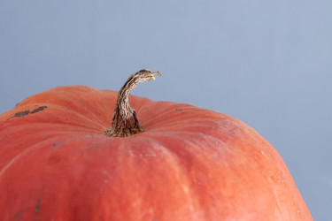 Similar image 22294782