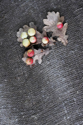 Similar image 22294784