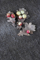 Similar image 22294785