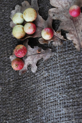 Similar image 22294786