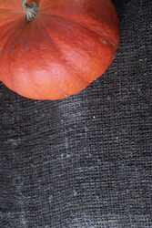 Similar image 22294814