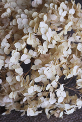 Similar image 22294846