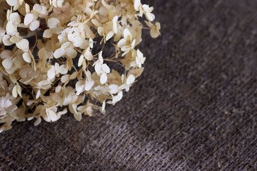 Similar image 22294848