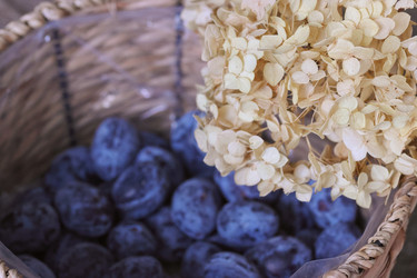 Similar image 22294787