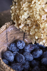 Similar image 22294788