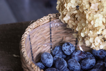 Similar image 22294789