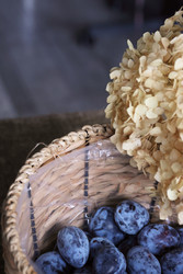 Similar image 22294790