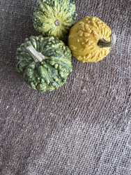 Similar image 22294792