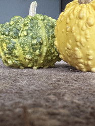 Similar image 22294793