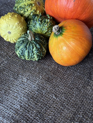 Similar image 22294794