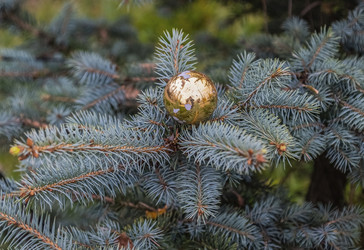 Similar image 22294670