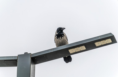 Similar image 22294671