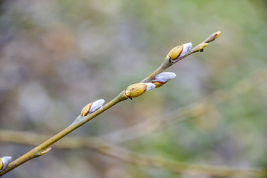 Similar image 22294673