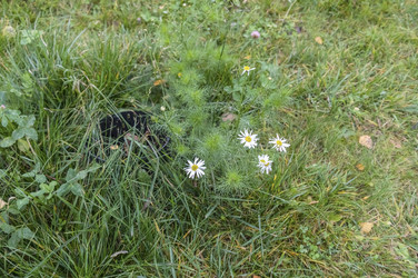 Similar image 22294674