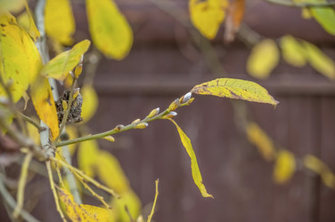 Similar image 22294675