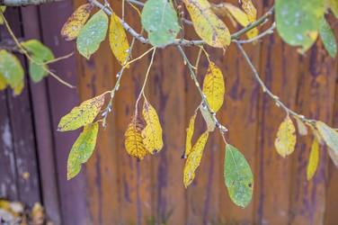 Similar image 22294677