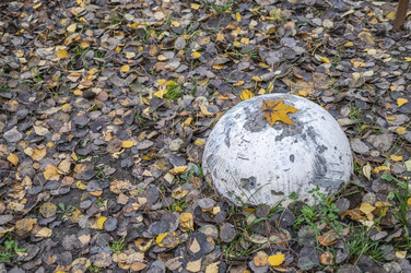 Similar image 22294678