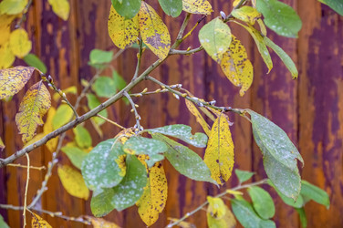 Similar image 22294679