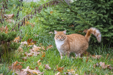 Similar image 22294680