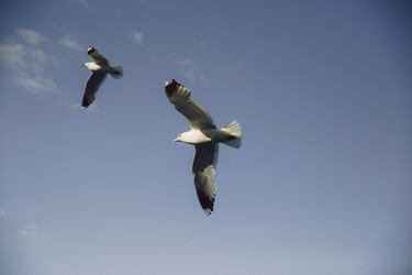 Similar image 22302074