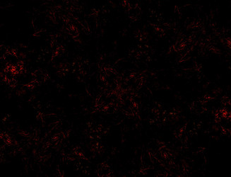 Similar image 22320381