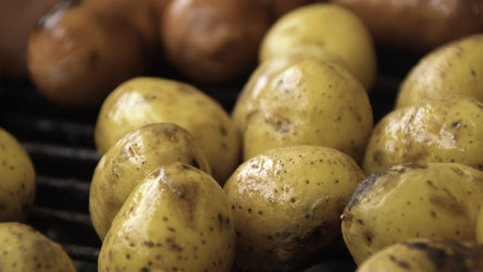 Similar image 22330155