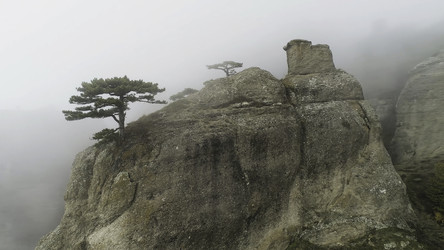 Similar image 22330544