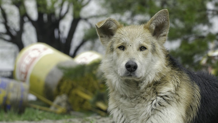 Similar image 22330981