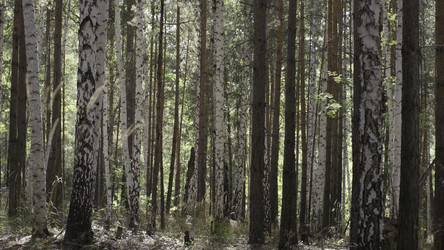 Similar image 22331500