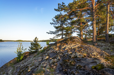 Similar image 22294691