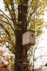 Similar image 22301601