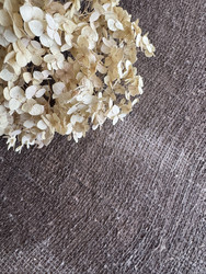 Similar image 22294801